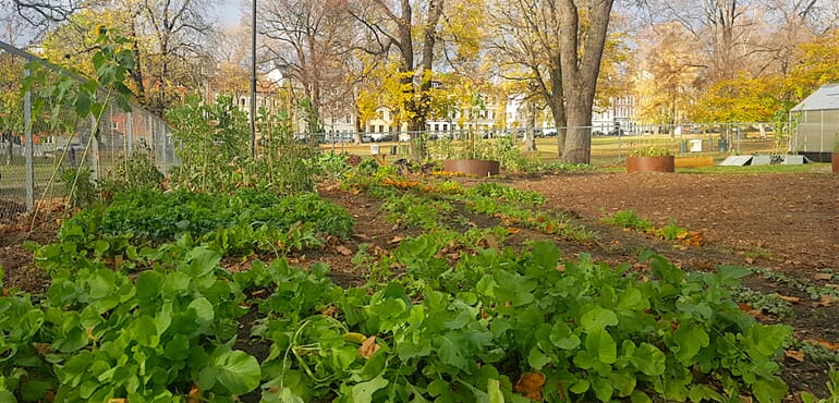 Bokashi i parken2.jpg